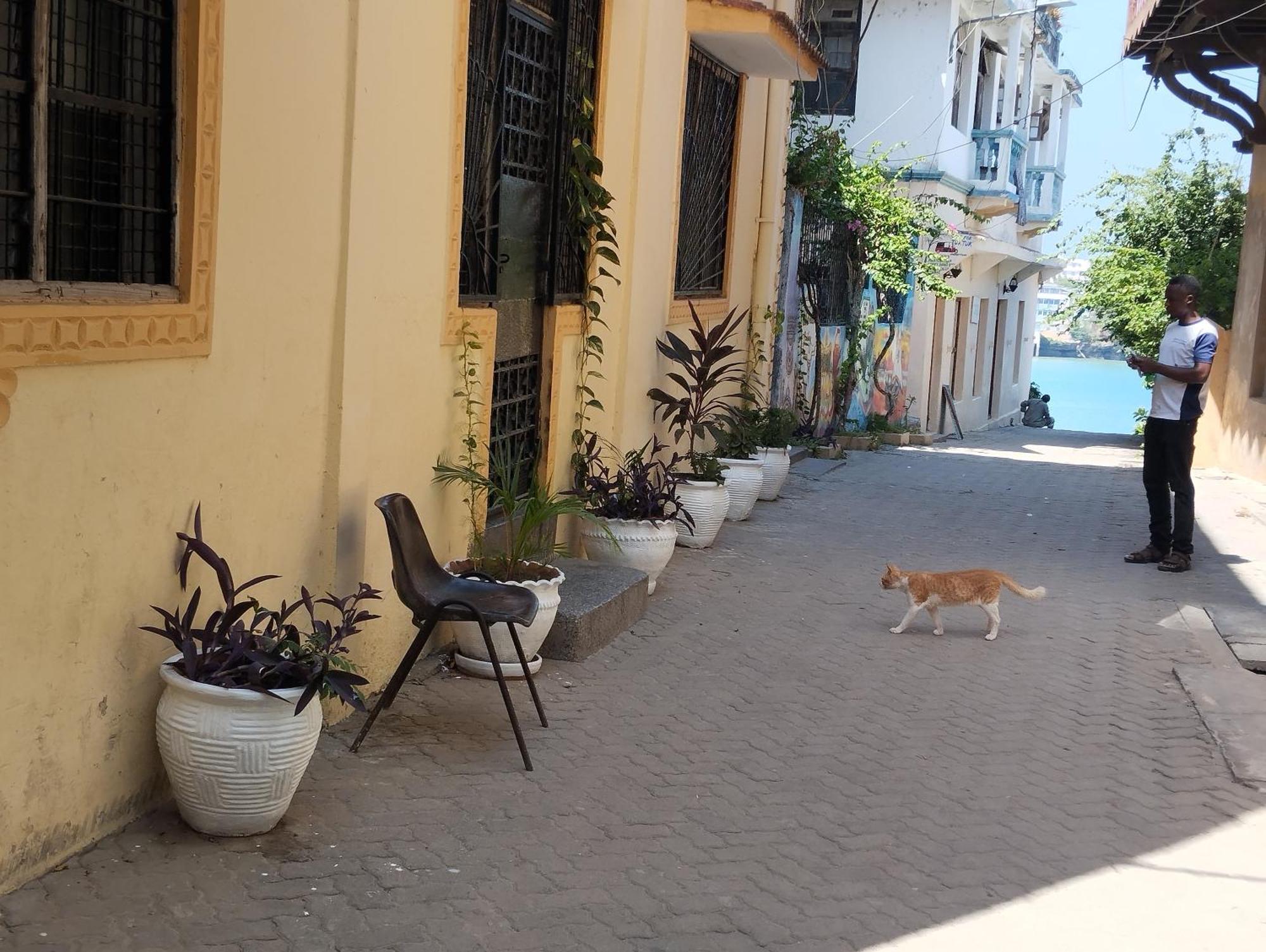 Mombasa Comfort House, Old Town Exterior foto